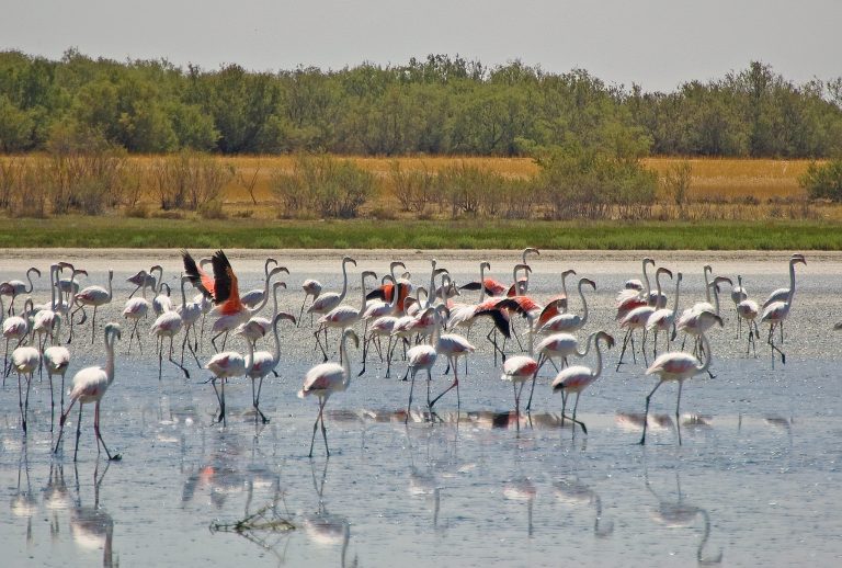 Lee más sobre el artículo Caminos Naturales por el centro peninsular
