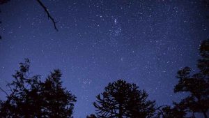 Lee más sobre el artículo Apps para identificar estrellas y constelaciones