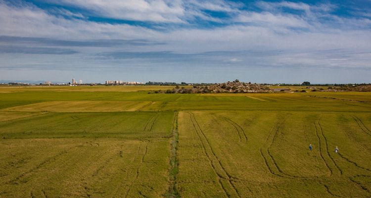Lee más sobre el artículo TODOS LOS CAMINOS LLEVAN AL XÚQUER
