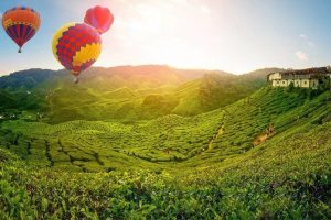 Lee más sobre el artículo CIUDADES IMPRESCINDIBLES PARA DISFRUTAR DE UNA AVENTURA EN LA NATURALEZA
