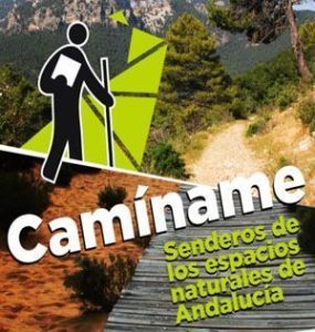 Lee más sobre el artículo Una aplicación móvil invita a recorrer los senderos públicos andaluces