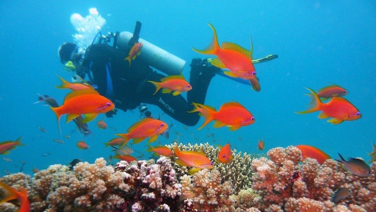 Lee más sobre el artículo Gran Canaria: un destino privilegiado de nuestro planeta