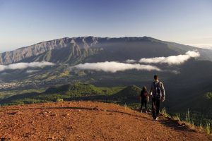 Lee más sobre el artículo TODOS LOS CAMINOS LLEVAN A LA PALMA
