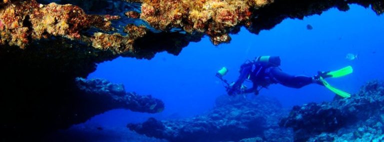 Lee más sobre el artículo Aplicaciones imprescindibles para los amantes del buceo