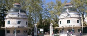 Lee más sobre el artículo Zoo de Lisboa: conservando la naturaleza