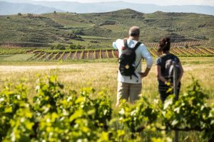 Lee más sobre el artículo La Rioja, Reserva para volver al Camino de Santiago