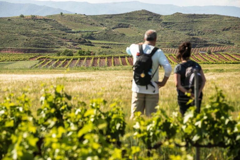 Lee más sobre el artículo La Rioja, Reserva para volver al Camino de Santiago