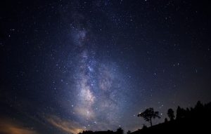 Lee más sobre el artículo Astroturismo en Japón: observar las estrellas desde lo alto de la copa de un árbol