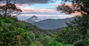 Lee más sobre el artículo Turismo Social, pura vida en Costa Rica