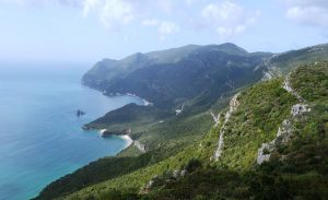 Lee más sobre el artículo Arrábida, el tesoro natural de Lisboa por descubrir