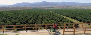 Lee más sobre el artículo Descubre la Región de Murcia a través de sus Vías Verdes
