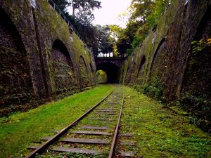 Lee más sobre el artículo Vías Verdes durante el Camino de Santiago