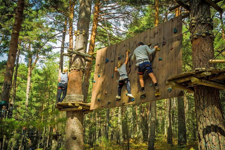 Lee más sobre el artículo Disfrutar con niños en la Sierra de Guadarrama