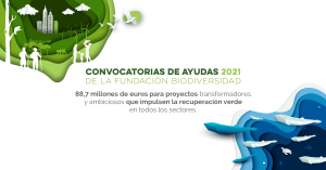 Lee más sobre el artículo La Fundación Biodiversidad pone en marcha ayudas para apoyar proyectos transformadores, basados en la ciencia y en las soluciones que proporciona la naturaleza