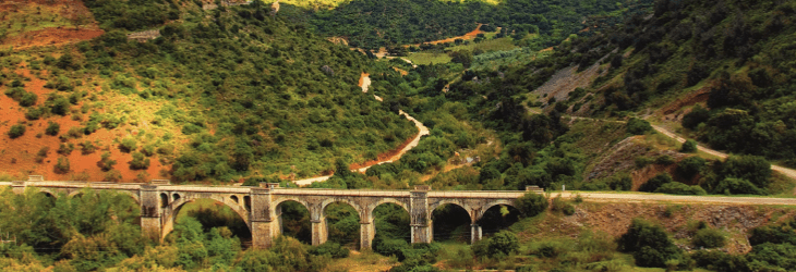 Lee más sobre el artículo ADÉNTRATE EN LA VÍA VERDE DE LA SIERRA ENTRE CÁDIZ Y SEVILLA