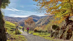 Lee más sobre el artículo ¡Sorpréndete con el Camino Natural Vía Verde del Plazaola!