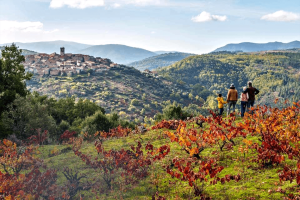 Lee más sobre el artículo Ruta de Vino Sierra de Francia: 56 Experiencias Enoturísticas Sostenibles para Saborear la Naturaleza de un territorio único