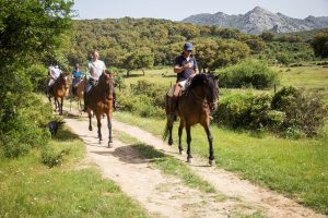 Lee más sobre el artículo Otoño a caballo en Grazalema