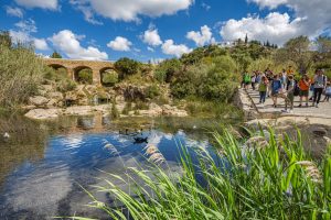 Lee más sobre el artículo Más de doscientos kilómetros de rutas para descubrir la mejor cara de Santa Eulària des Riu (Ibiza)