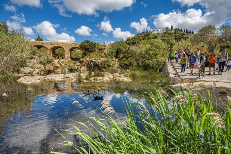 Lee más sobre el artículo Más de doscientos kilómetros de rutas para descubrir la mejor cara de Santa Eulària des Riu (Ibiza)