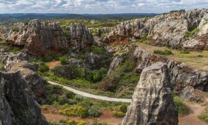 Lee más sobre el artículo Sierra Morena la puerta de Andalucía