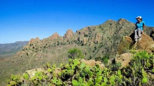 Lee más sobre el artículo Destino Arona. Siete senderos para descubrirla