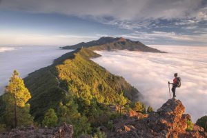 Lee más sobre el artículo La Palma. La máxima expresión de la naturaleza