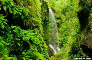 Lee más sobre el artículo La Palma