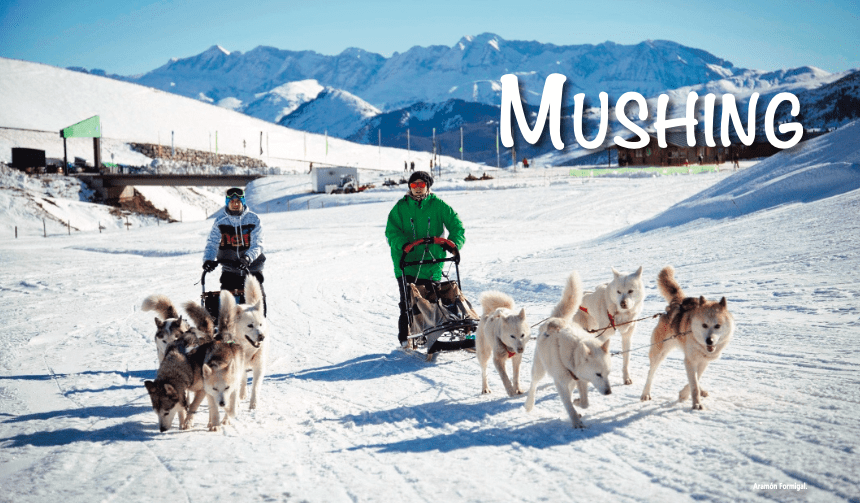 Mushing