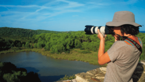 Lee más sobre el artículo Baleares: el destino idílico del Birdwatching