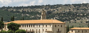 Lee más sobre el artículo Valladolid: Milla de Oro del vino