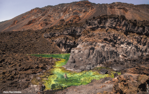 Lee más sobre el artículo La Palma: ¡Esa isla bonita!