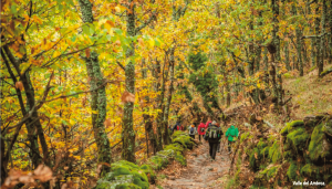 Lee más sobre el artículo Ecoturismo en el Valle de Ambroz
