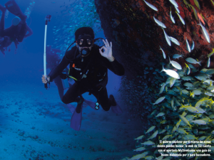 Lee más sobre el artículo Mejores puntos de buceo