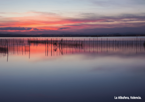 Lee más sobre el artículo La Albufera, el alma de Valencia