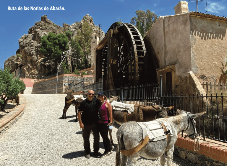 Lee más sobre el artículo Senderismo con burros en el Valle de Ricote