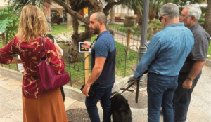 Lee más sobre el artículo Águilas: destino accesible