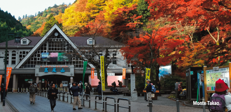 Lee más sobre el artículo Rutas naturales para disfrutar en Tokio