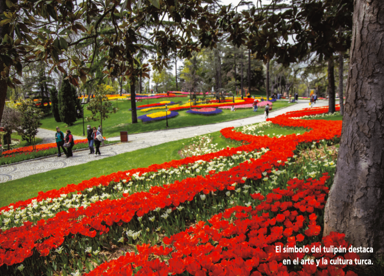 Lee más sobre el artículo Instanbul se tine de colores con la floración de los tulipanes
