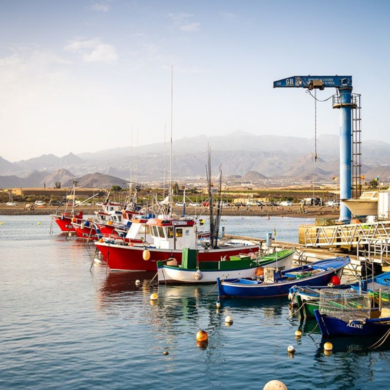 Arona turismo AireLibre