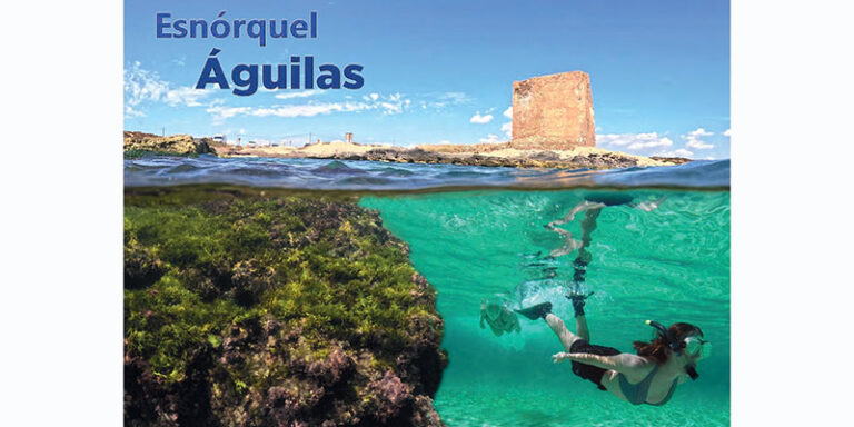 Lee más sobre el artículo Explora el Mar en Familia: 13 Rutas de Esnórquel para Todos en Águilas