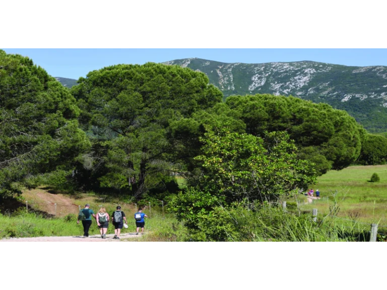 Lee más sobre el artículo Premios AireLibre Fitur: Festa de Caminhadas na Arrábida Setubal
